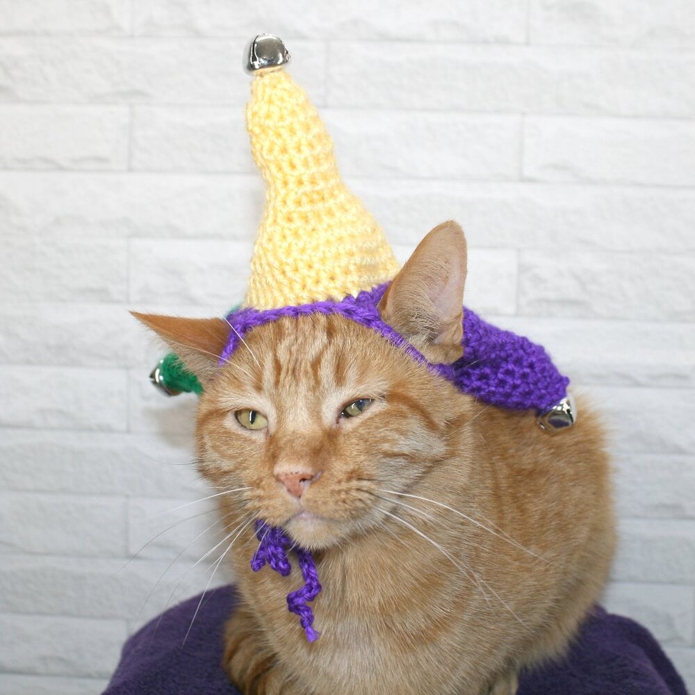 HAND CRAFTED Hat Crochet Jester Cap Mardi Gras Costume Photo Prop Pet Parade - Picture 5 of 15